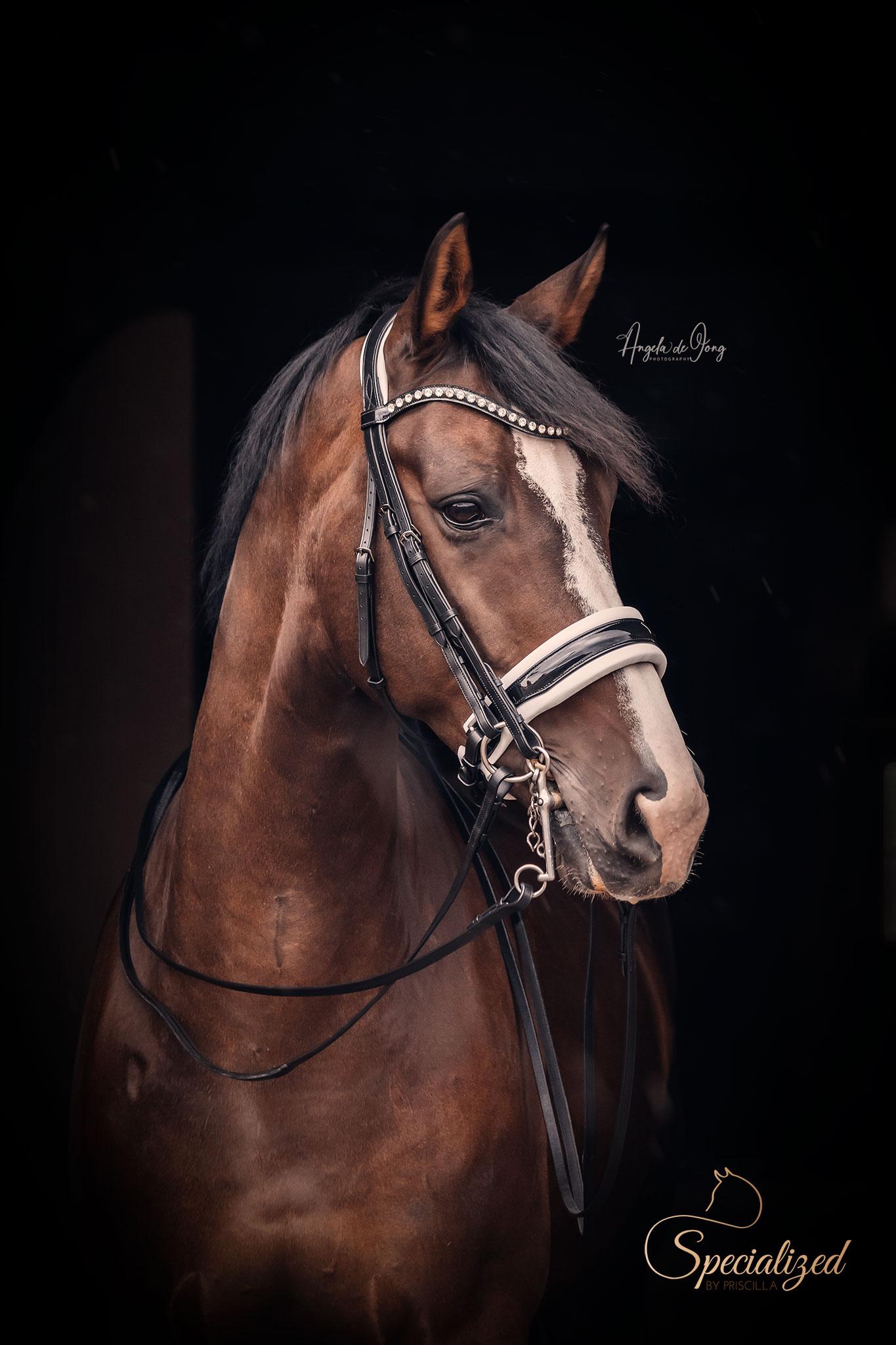double noseband white wijd