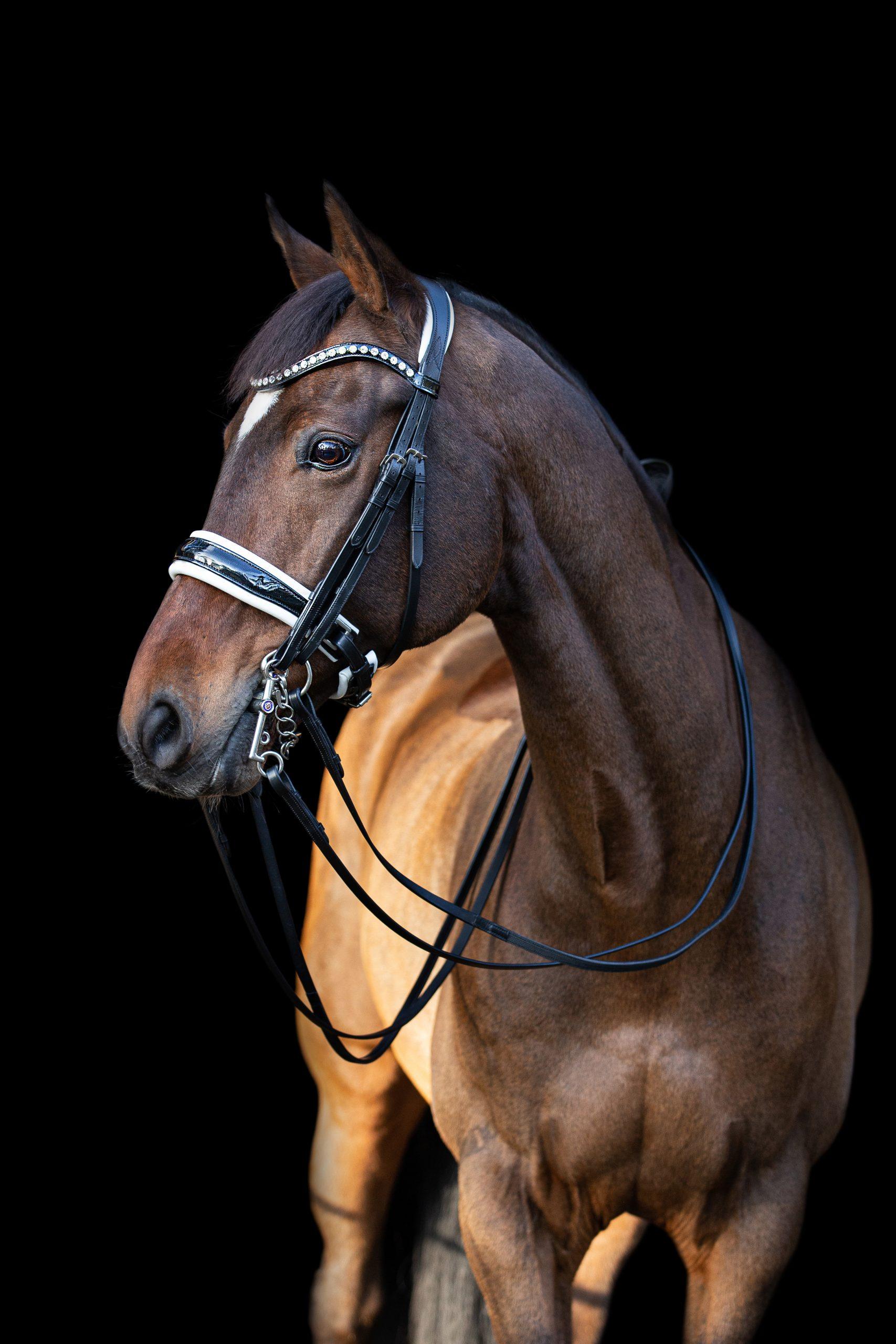 tess double bridle white wide
