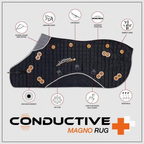 lmx magno rug1