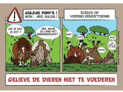 Stalplaat
