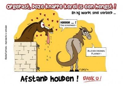 Stalplaat