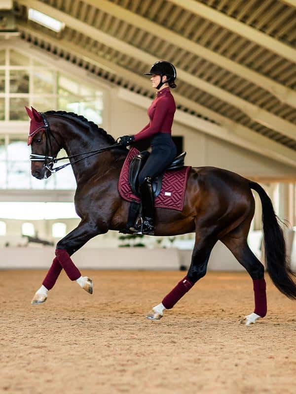 red-dressage-saddle-pad-dressyrschabrak-dressurschabracke-dressuur-zadeldekje-2