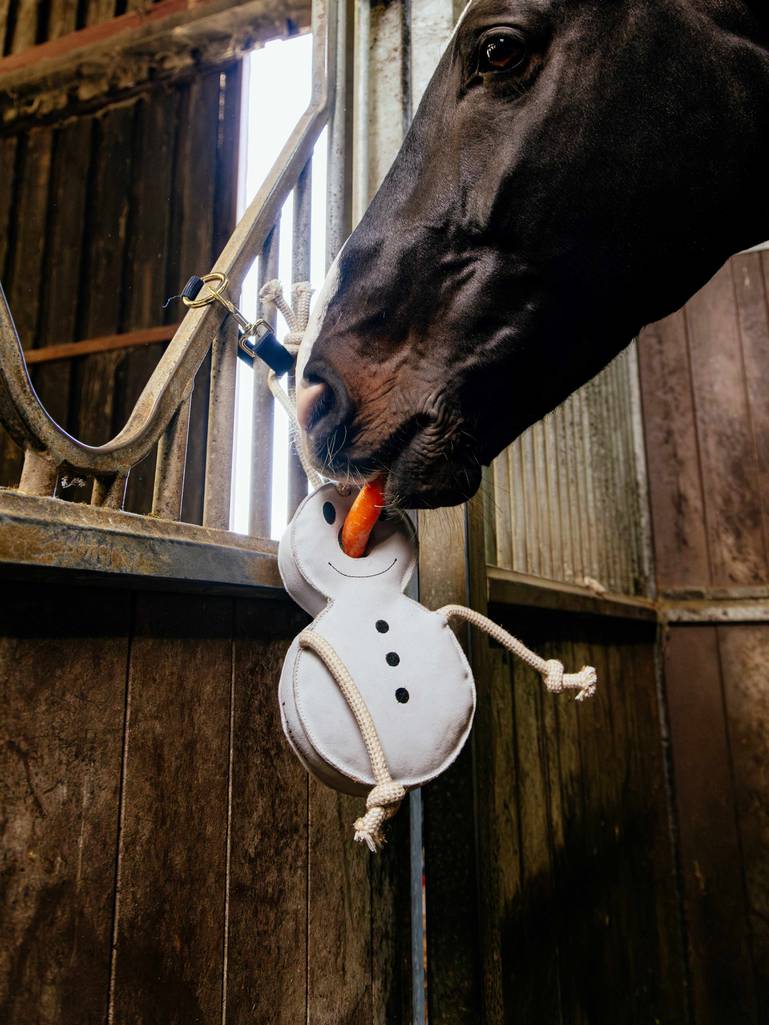 it05777_lifestyle_horsetoy_snowman_4